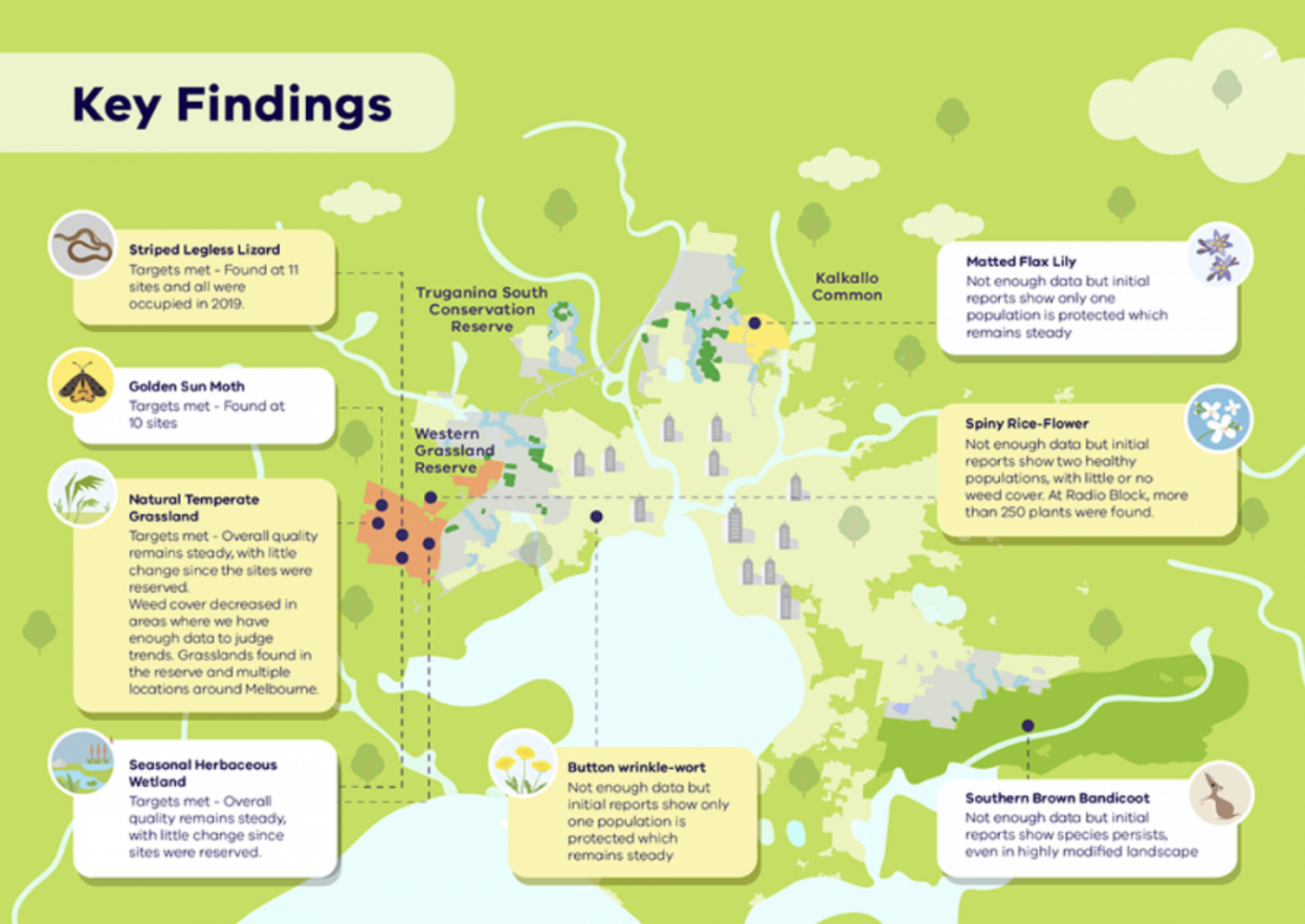 Key Findings 