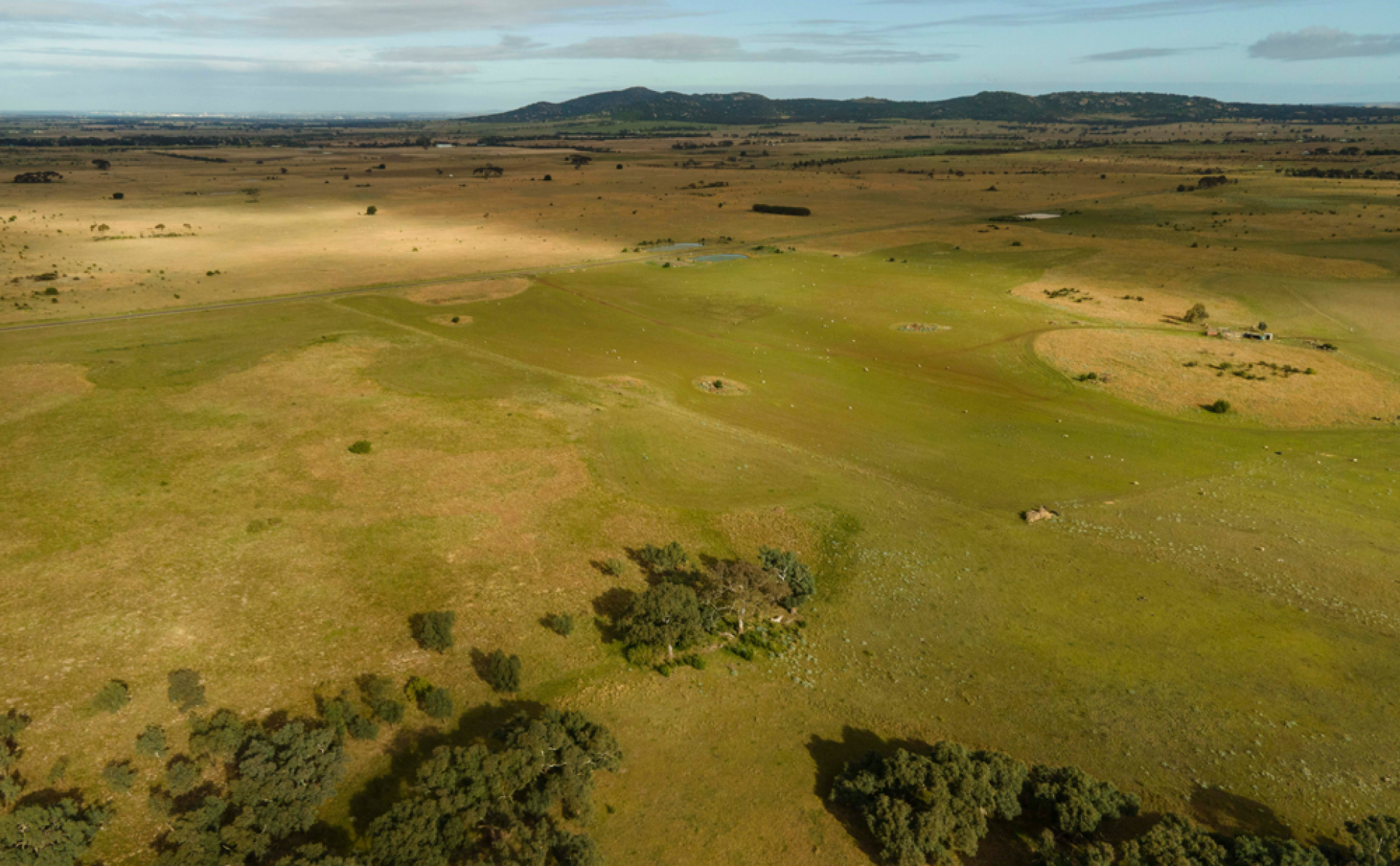 Aeriel view of Grass and trees with mountainous Skyline